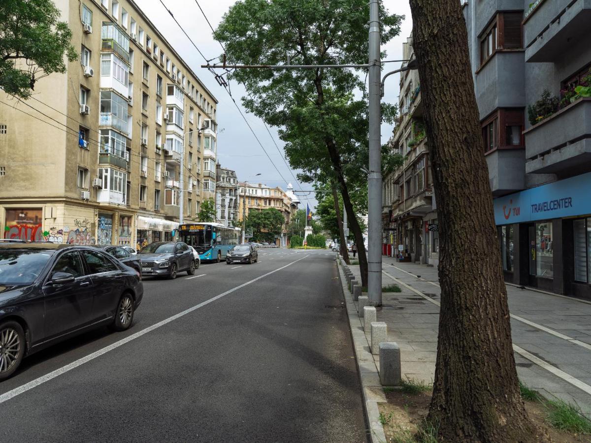 Beautiful Modern Studio - Cismigiu Park - Netflix Bucarest Exterior foto