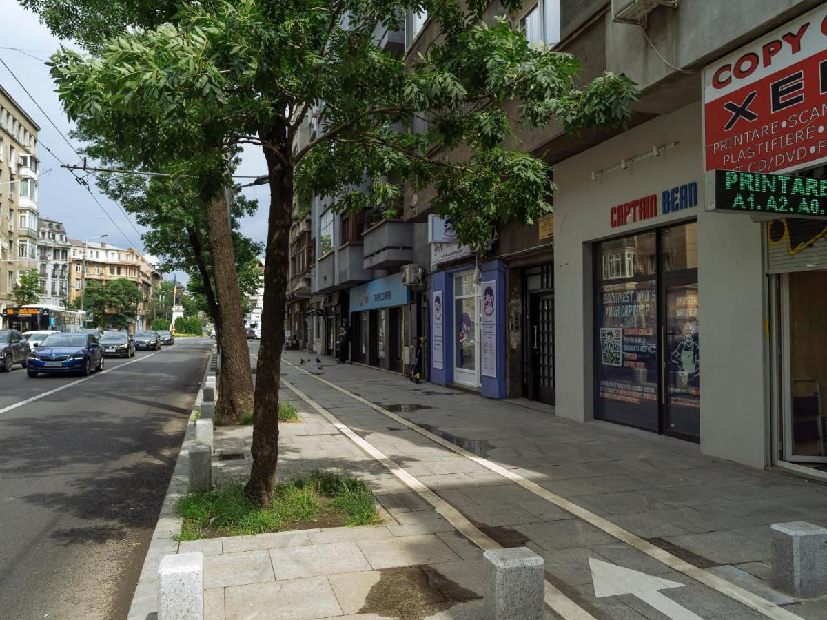 Beautiful Modern Studio - Cismigiu Park - Netflix Bucarest Exterior foto